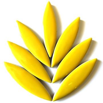 Ellipse: H71 Citrus Yellow: 8 tiles